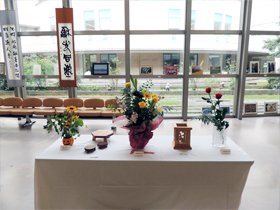 作品展示